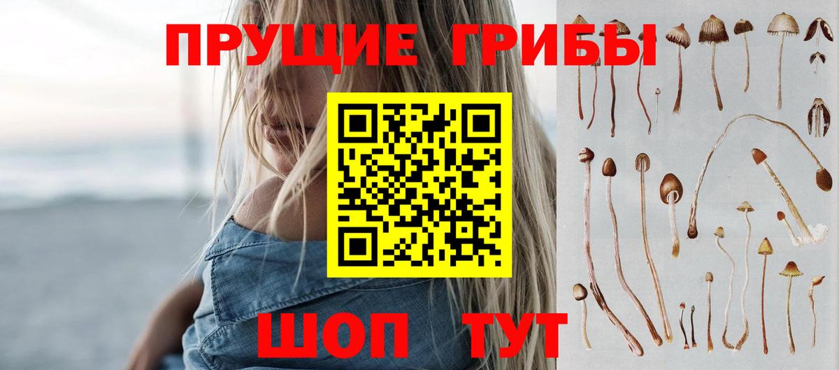Псилоцибиновые грибы GOLDEN TEACHER Тимашёвск
